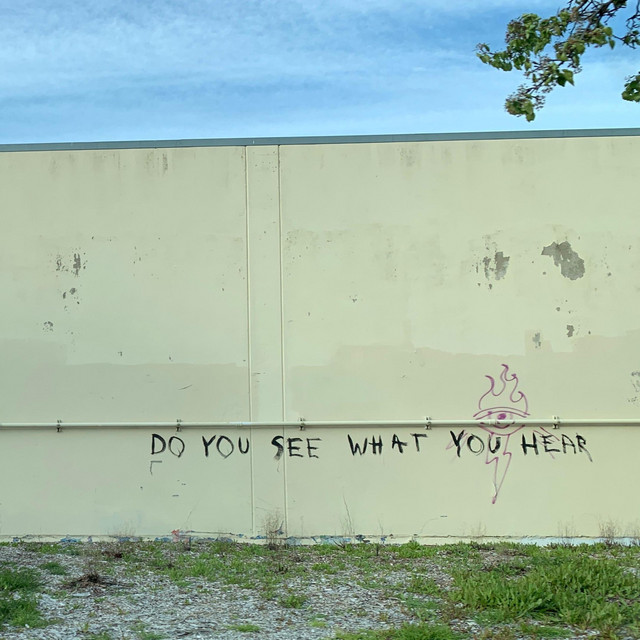D.Y.S.W.Y.H cover art
