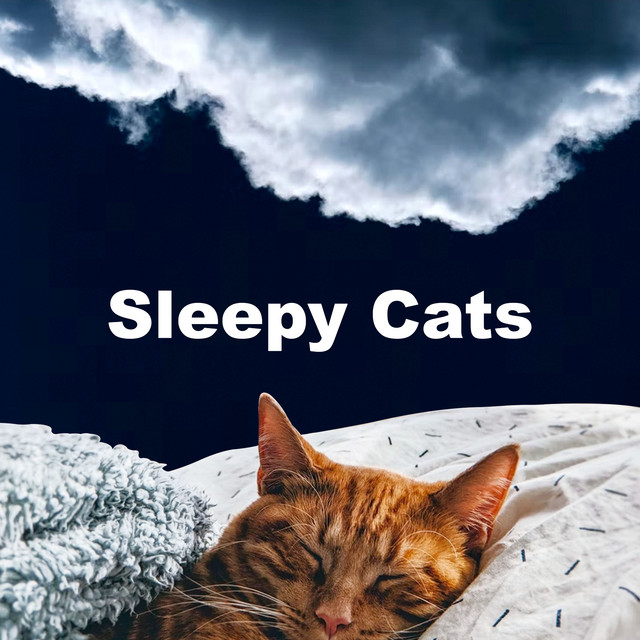 Sleepy Cats cover art