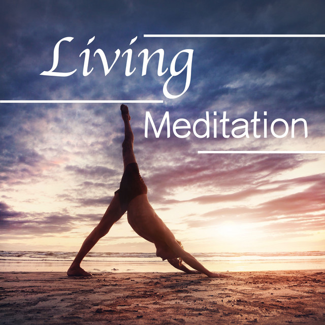 Living Meditation: Total Relaxation Music for the Ultimate Wellbeing cover art