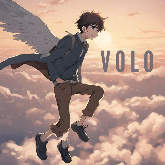 VOLO cover art