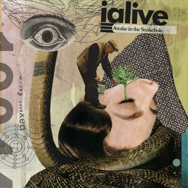 Awake in the Snakehole cover art