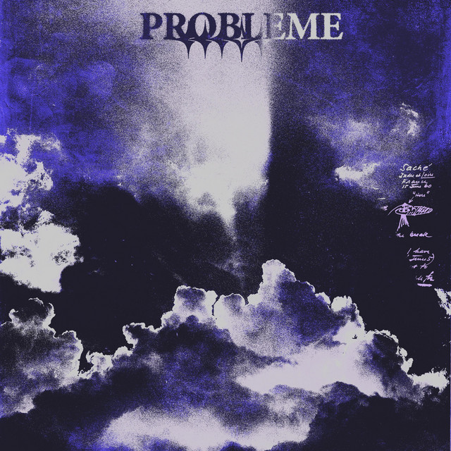 Probleme cover art