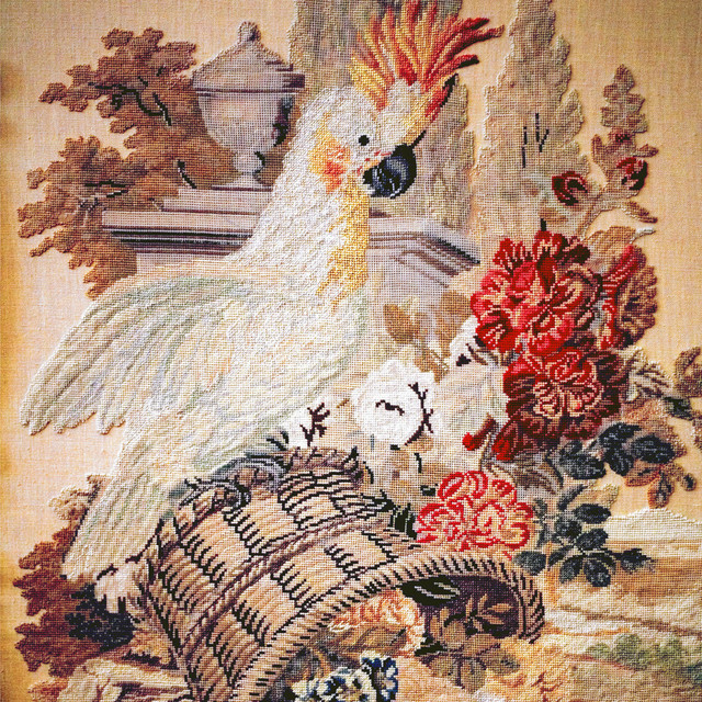 Bird cover art