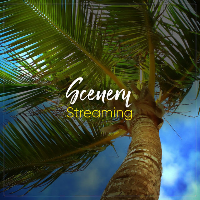 Streaming Scenery - Compilation by Various Artists | Spotify