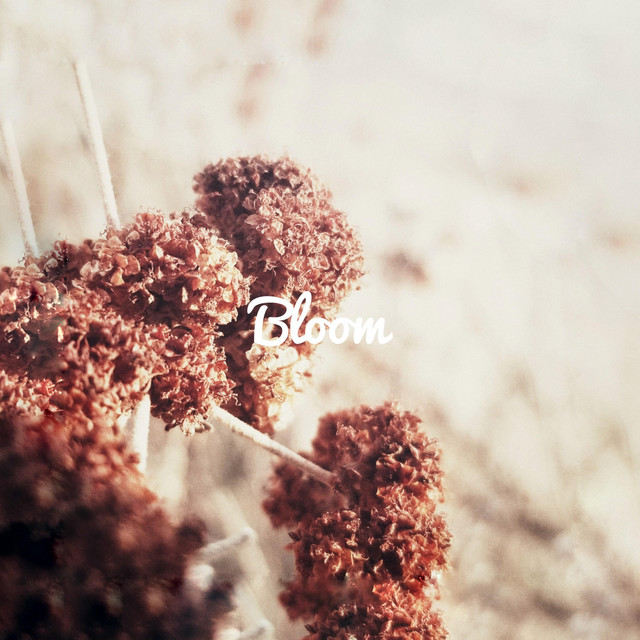 Bloom cover art
