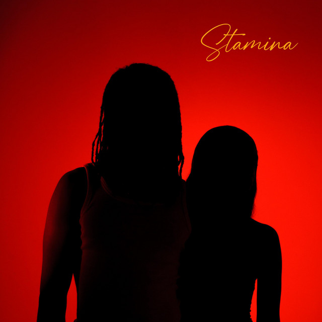 Stamina cover