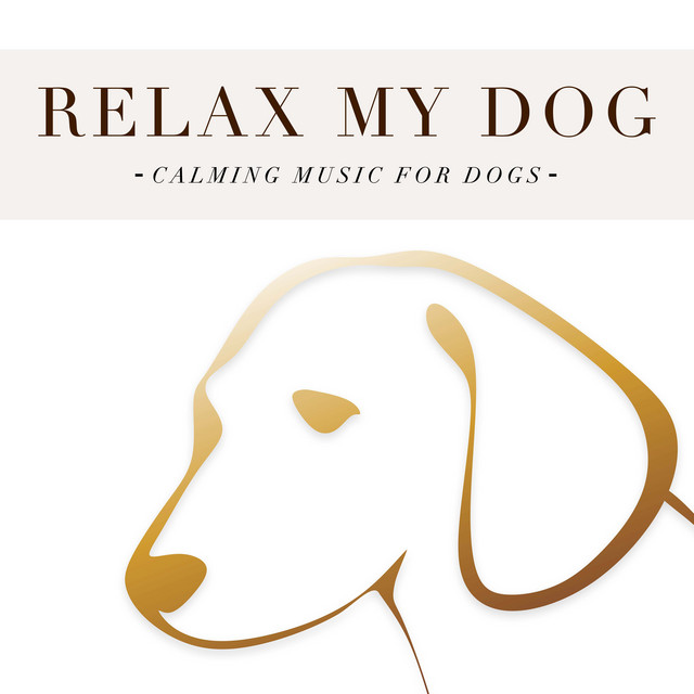 Relax my Dog: Calming Music for Dogs cover art