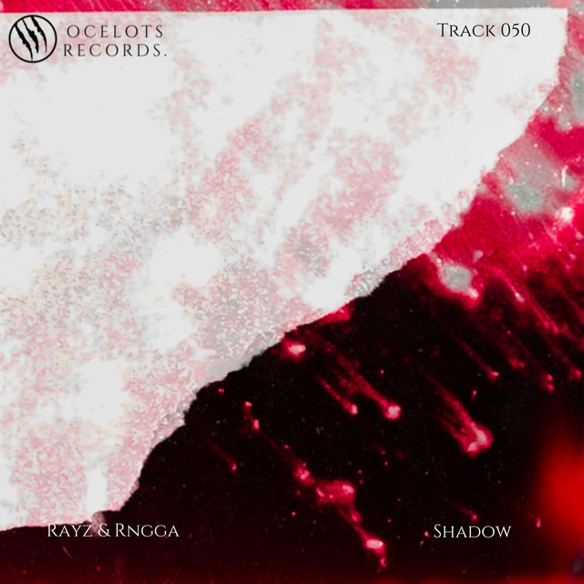 Shadow - Single by Rayz | Spotify