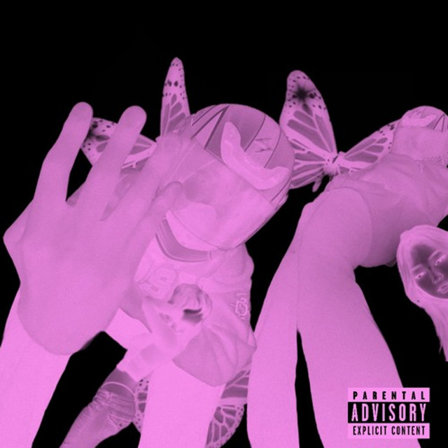 FLY! cover art