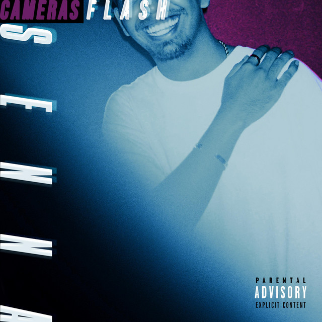 Cameras Flash