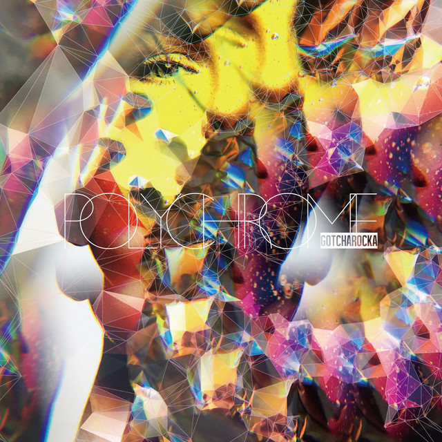POLYCHROME cover art