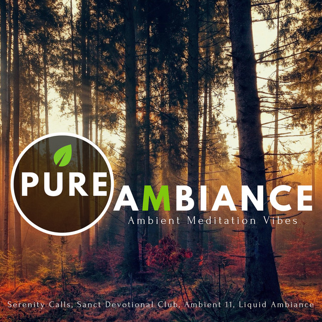 Pure Ambiance - Ambient Meditation Vibes cover art