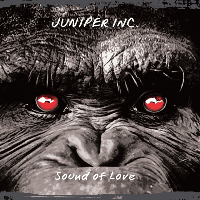 Sound of Love cover