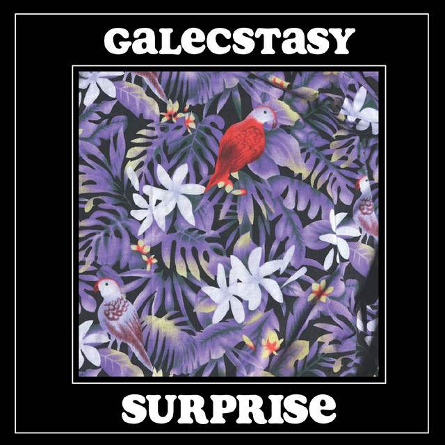 Surprise cover art