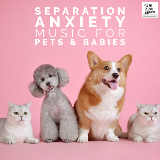 Separation Anxiety Music For Pets & Babies cover art