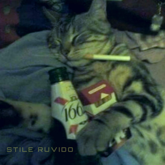 Stile Ruvido