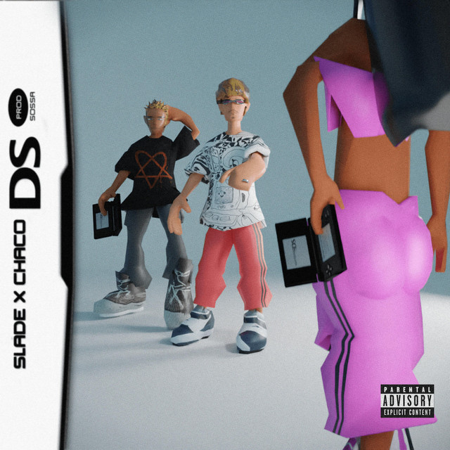 DS cover art