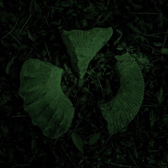 Aura Fossil cover art