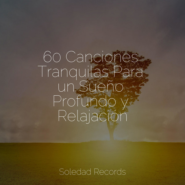 60 Canciones Tranquilas Para un Sueño Profundo y Relajación