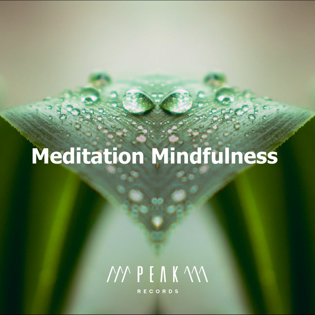 Meditation Mindfulness - Album by Noah Proctor Meditations | Spotify