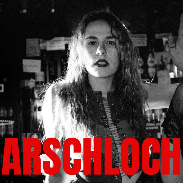 Arschloch cover art