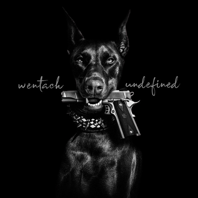 Обкладинка WENTACH — UNDEFINED, Vol. 1 (Speed Up)