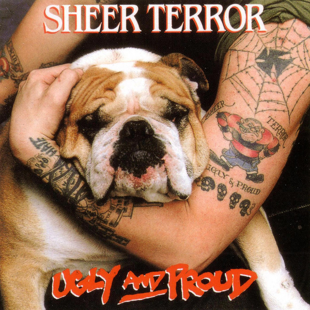 Bulldog - song and lyrics by Sheer Terror | Spotify