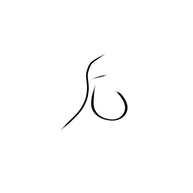 fu cover art