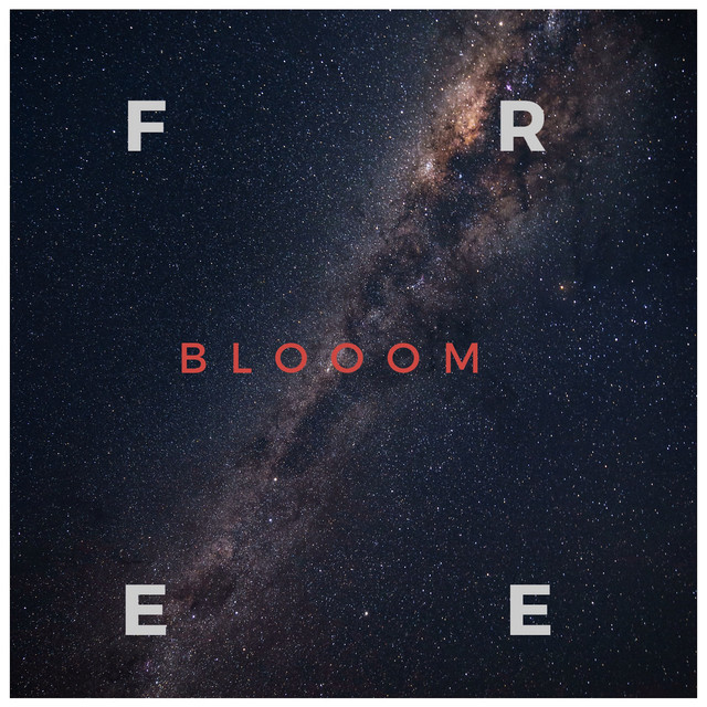 Blooom Photo