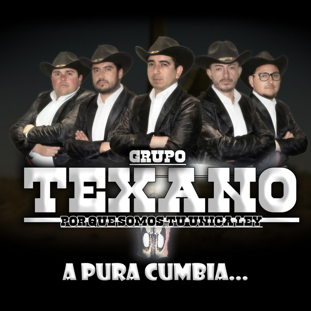 A pura cumbia cover art
