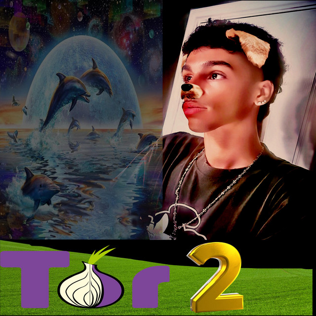 tor 2 cover art