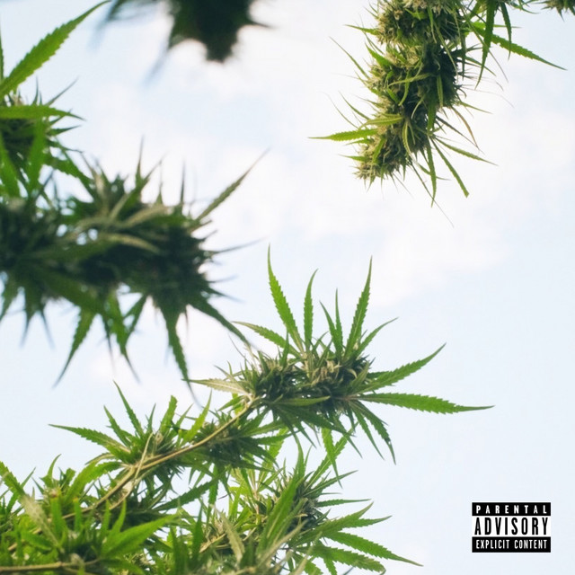 Jardins cover art