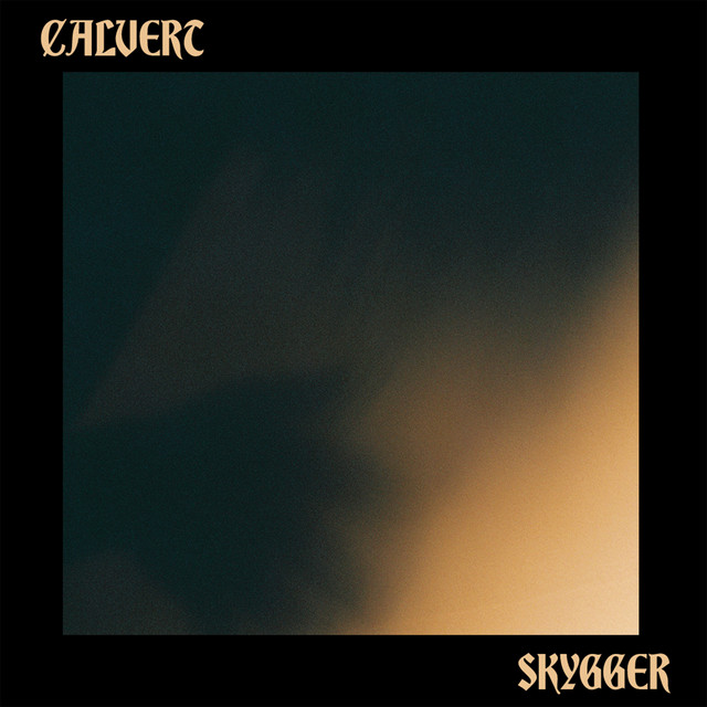 Skygger cover art