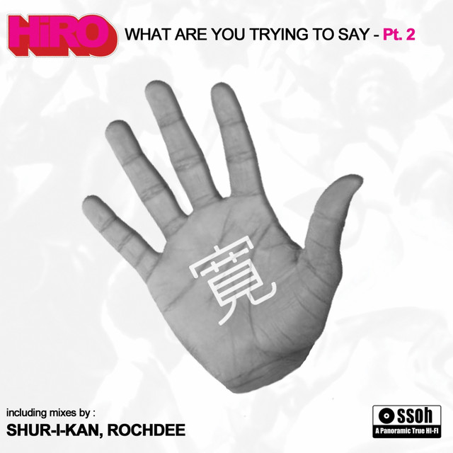 What Are You Trying to Say - Shur-i-kan Mix cover art