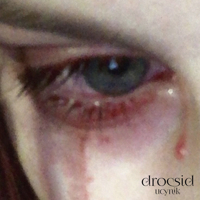 Drocsid cover art