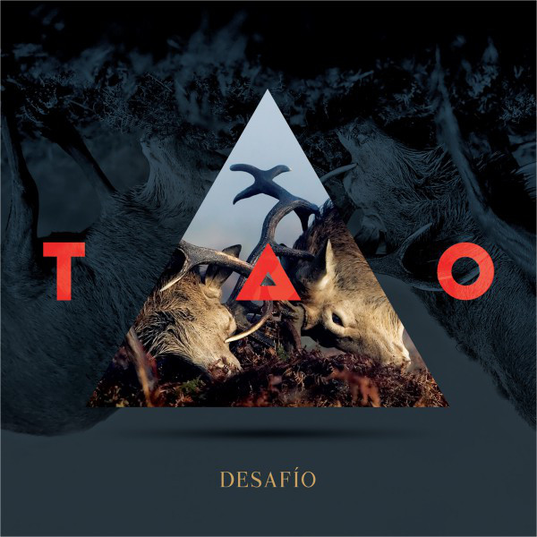 Desafío cover art
