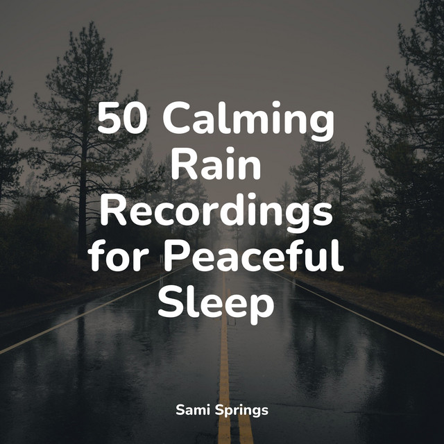 50 Calming Rain Recordings for Peaceful Sleep - Album by Nature Sounds ...
