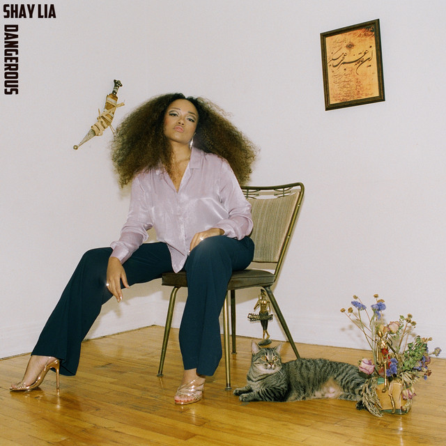 Dangerous cover art