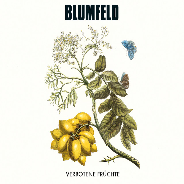 Verbotene Früchte cover art