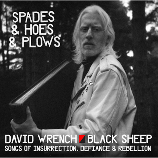 A Radical Song cover art