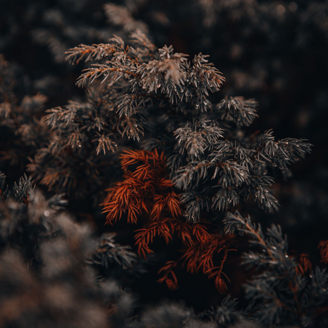 Chill Out Sounds | Ultimate Serenity cover art