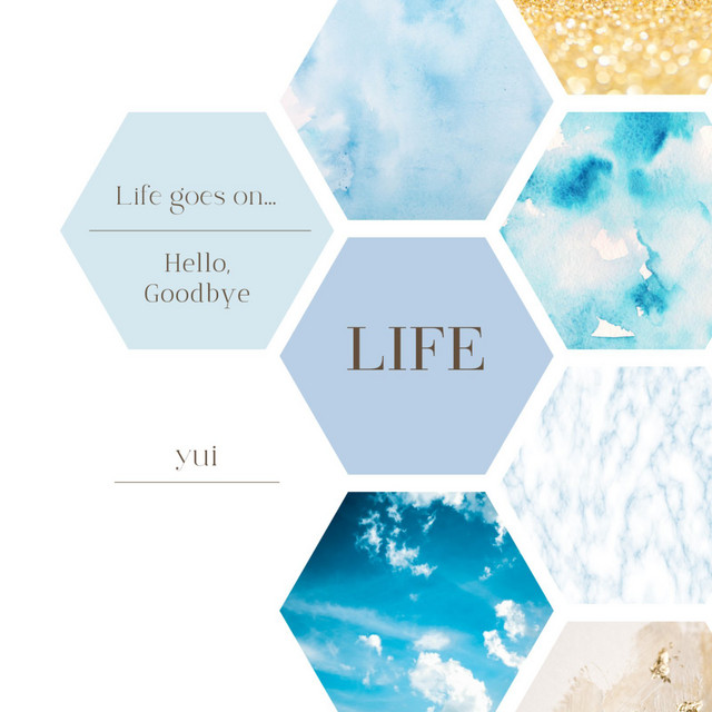 Life cover art