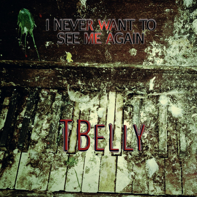 I Never Want to See Me Again cover art