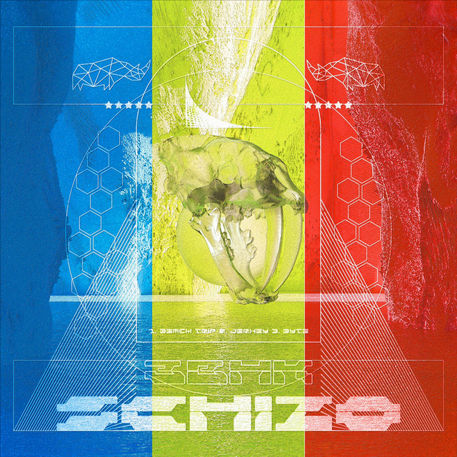 Schizo cover art