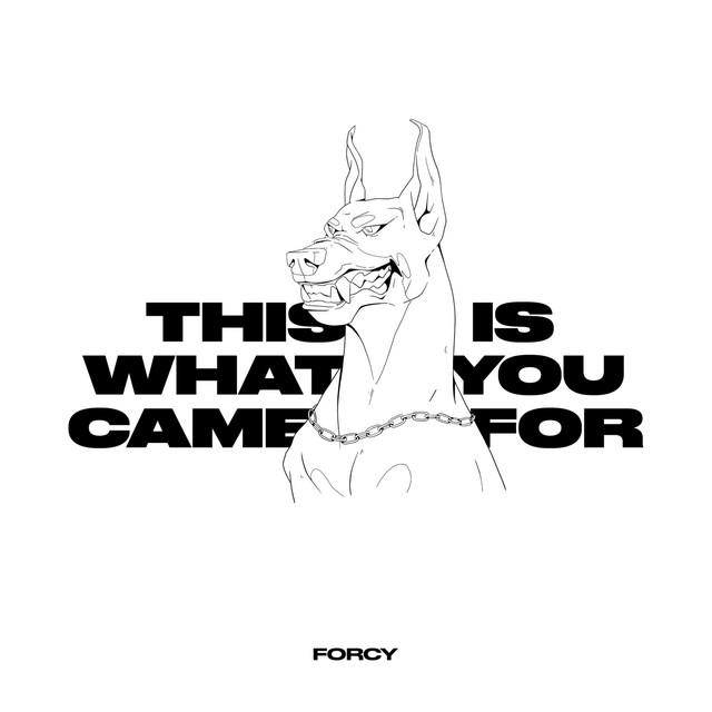 This Is What You Came For cover art