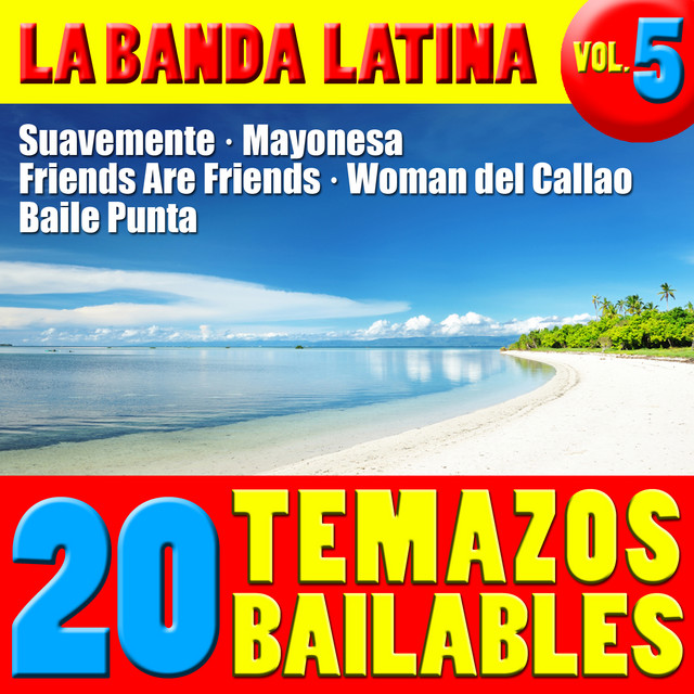 Cover of 20 Temazos Bailables Vol. 5 by La Banda Latina
