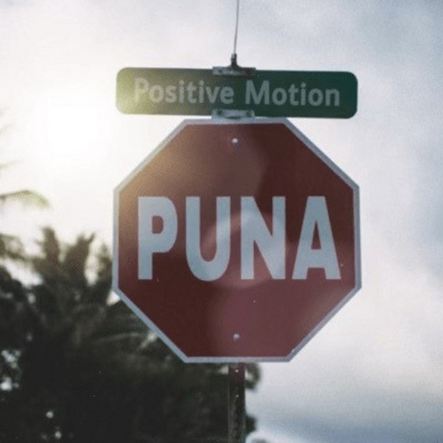 Puna album image