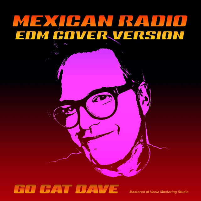 Mexican Radio (Edm Cover Version) cover