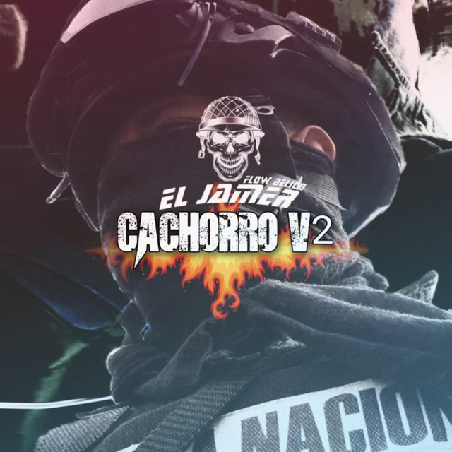 Elemento Cachorro V2