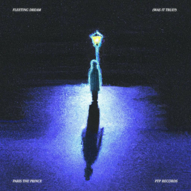 Fleeting Dream (Was It True?) cover art